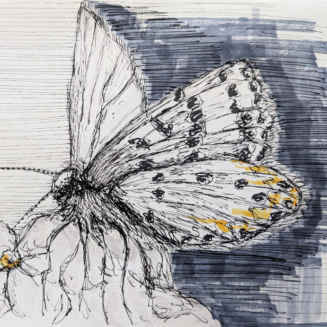 Renate Bosetti